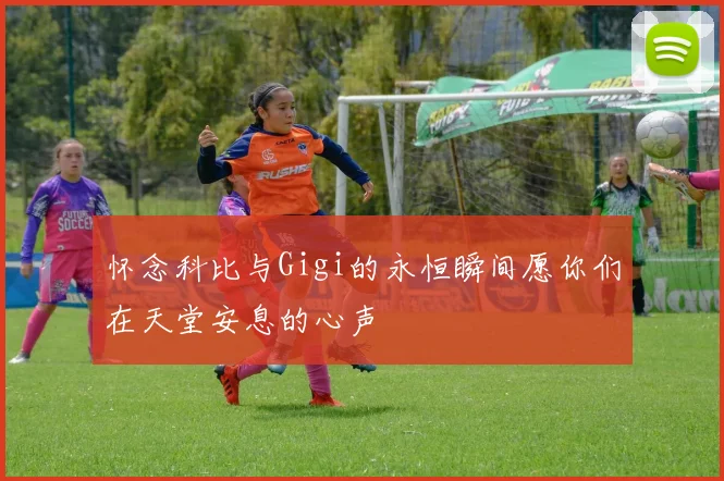 怀念科比与Gigi的永恒瞬间愿你们在天堂安息的心声