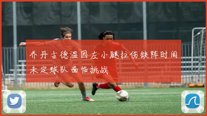 乔丹古德温因左小腿拉伤缺阵时间未定球队面临挑战