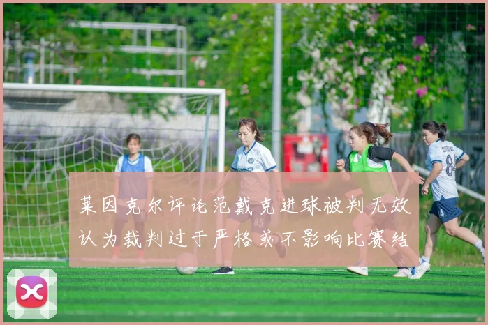 莱因克尔评论范戴克进球被判无效认为裁判过于严格或不影响比赛结果