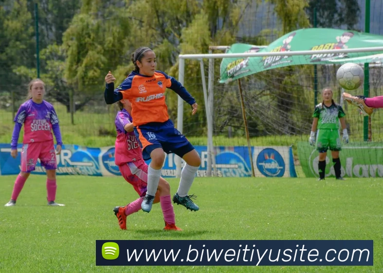 必威体育发展历程